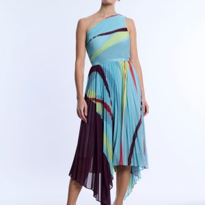 Printed Pleated Dress