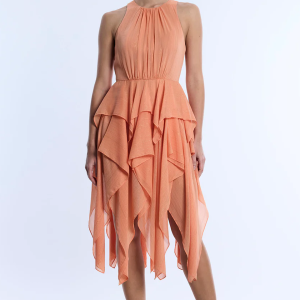 Ruffle Skirt Dress